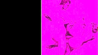 Vintage erotic illustration