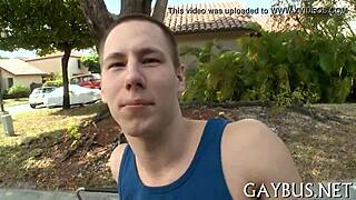 Fellows engage in gay sex