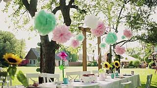 Hardox's Frightening Odyssey On His Birthday After 20 Years