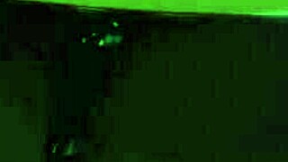 Horny cartoon tits exposed in deviant anomalies.