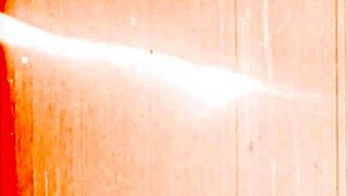 Vintage erotic drawings in retro style