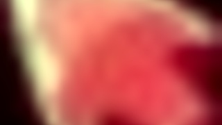 I accidentally stumbled upon this honeysun walkthrough hgame and got lost in the details.