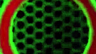 Milf Vicky Vette Strips To Show Juicy Muff