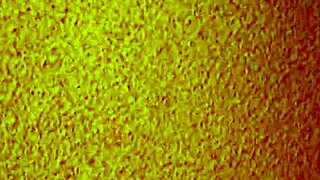 Cheap mature Asian hooker ready for homemade missionary fun