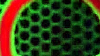 Blonde BBW Julia Ann teases with wet pussy solo play