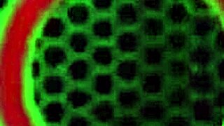 Pool stud Rome Major bangs hot Ashley Pink, riding cowgirl style by the water