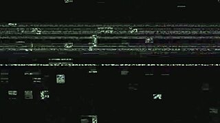 dr tampa performs kalani luana's yearly physical in florida