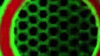 Nina Kayy, the Redhead, Teases with a Long Dildo and Juicy Big Pussy Lips.