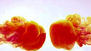 busty blonde amaris squirts hard on herself