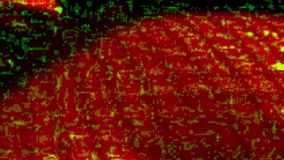 Kanedamaaka ruins my tights in excitement