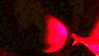 my bestie bends over for a quick black cock pounding in tight waist