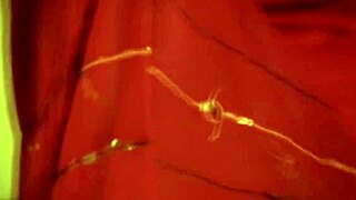 A seductive milf body lures every man to her charm