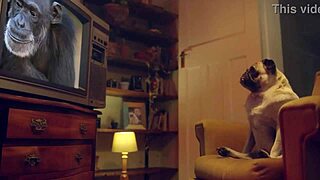 i masturbate amy douxxx on my living room couch with a vibrator