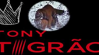 I got Gih Pimentinha's lubed solo video ready