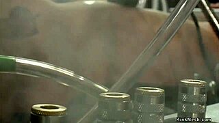 Hey, wanna see us lesbians go wild with squirting and dildo anal play?