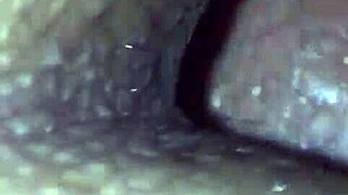 that big ass is getting covered in cum from behind in a hardcore scene