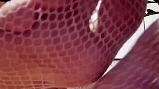 Fetish Feet Mistress Elza Koms, So Damn Hot!