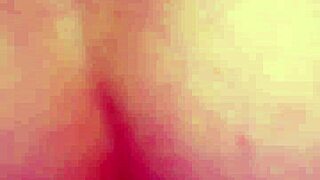 Wife moans during quick suck and fuck before creampie