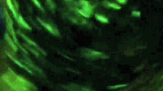 Black Neighbor Offers Oral Sex for Rent Money