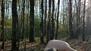 Holy! Bound Whore Flashes Tits in Public Humiliation!