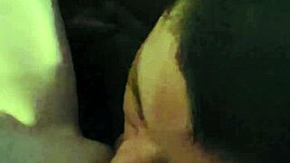 Driftwood & barefoot kontessa down south?