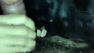 Petite beauty desperately craves devouring cock