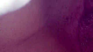 beauty1 shines in stunning amateur display