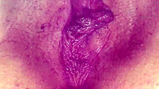 beauty1 shines in stunning amateur display