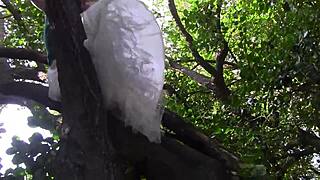 Sexy Blonde Riley Reyes Goes Wild Busty Milf Darcie Dolce