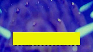 is this the new brazzers podcast with exclusive big tits interview?