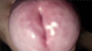 伙计，我穿着花哨西装，大意大利鸡巴硬射...想吹我直到我在你嘴里爆发吗？