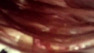 i'm sucking a nice cock