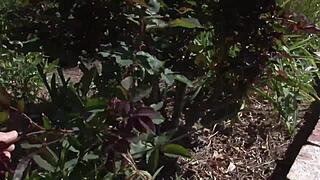 Hey, watch Tory Lane's big tits bounce while she gets pounded?