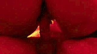 Brazilian housewife shares her daily life in a captivating story.