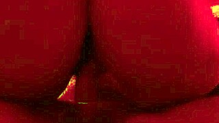 Brazilian housewife shares her daily life in a captivating story.