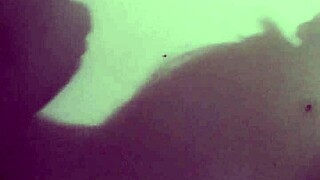 creampie after perfect blowjob