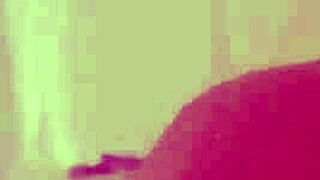 Detailed Update on Sexy Sin66 Featuring All 1637 Scenes from February 02, 2025