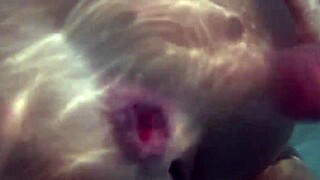 Roxy Raye Showcases Pussy Play with Dildos and Toys in Compilation Part 2