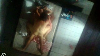 Can you resist fucking your Brazilian work friend in a hotel?