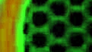 Solo Shower Time with Jelena Jensen! Watch Her Play with Natural Tits and Big Clit in Steamy Action.