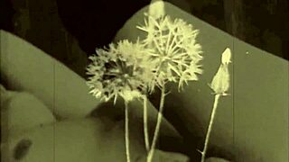 Hey! What’s Up With Dark Lantern’s Vintage Sin City?