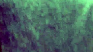 Pawg Boldly Riding Cock In Public Outdoor Fuck!