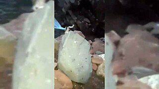 White girl rides hard after blowjob!