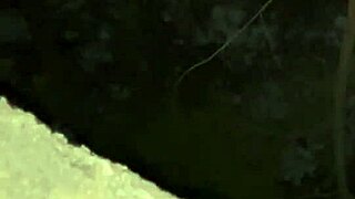 Hot Young Indian Craves Massive Black Cock in Steamy Action