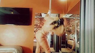 polydance special easter 2025 event