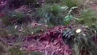 Adventure Time in Public Woods with Cute Interracial Deepthroat