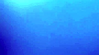 Young Whore Gives Head And Gets Bareback Fucked Outdoors