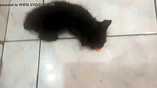 Sarah Rosa Makes Sexy Homemade Treat in Kitchen