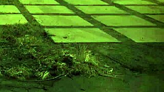 outdoor bdsm bondage fuck for first time teen