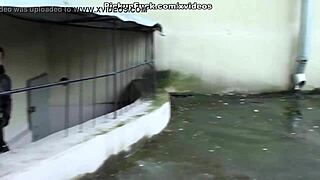 Blonde amateur sucks cock on the porch in public